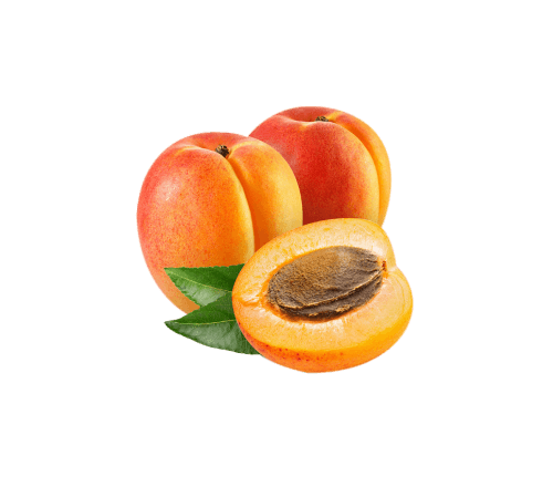 Plum Silho