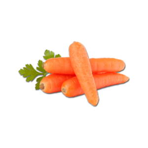 Vegetables Cabbage
