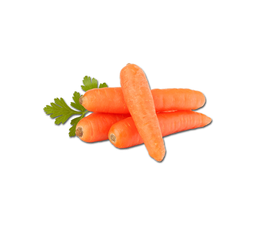 Vegetables Cabbage